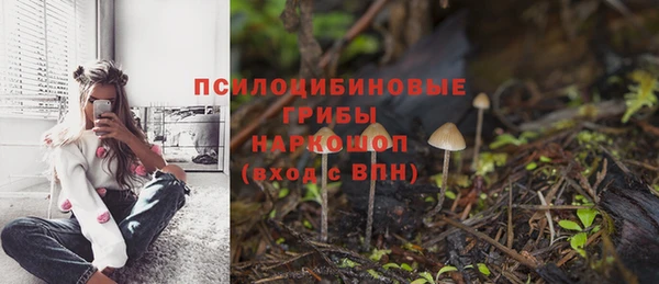 винт Киренск