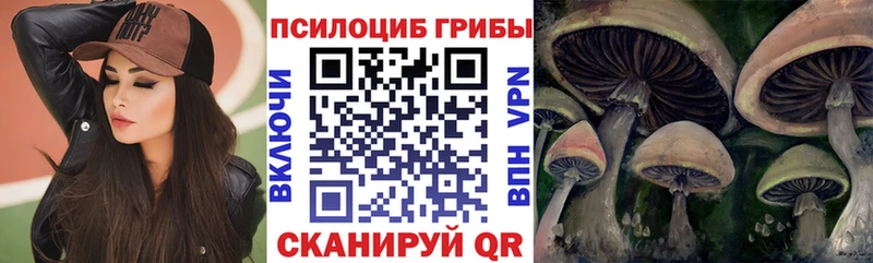 Галлюциногенные грибы MAGIC MUSHROOMS  Купить закладки  Алагир 