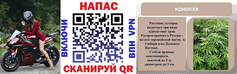 Конопля Ganja Купить Алагир